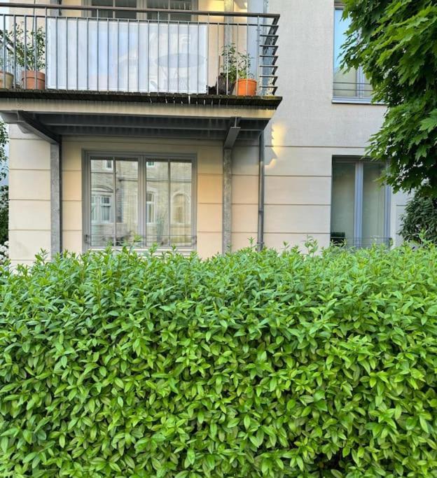 Gemuetliches Apartment Im Herzen Detmolds Extérieur photo