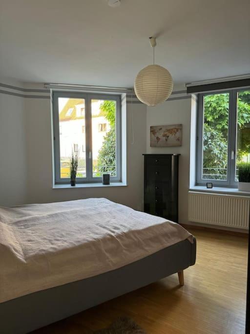 Gemuetliches Apartment Im Herzen Detmolds Extérieur photo